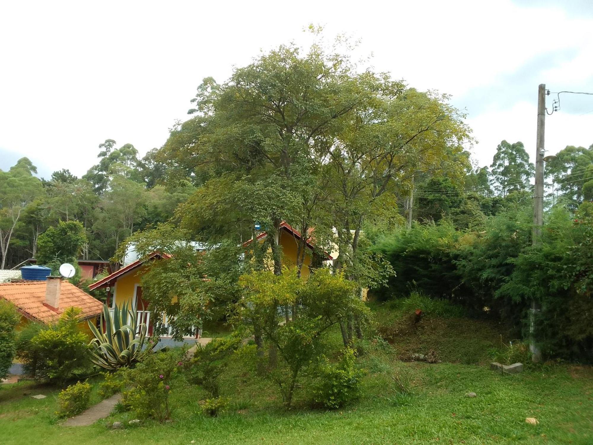 Chales Canto Dos Passaros Monte Verde  Exteriér fotografie